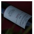 Paolo Scavino Barolo 2005. Mögel!..