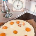Äggande persiko-/aprikospaj (glutenfri)