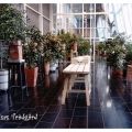 Feelgood bland kamelior och kladdkakornas Rolls[...]