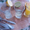Sapere med citrusfrukter