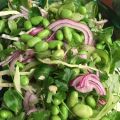 Elsas gröna - Vintersallad med apelsin- och[...]
