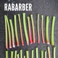 Rabarberflarn