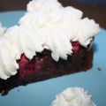 Marmorerade brownies med hallon