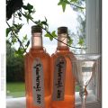 Rörd Sussie och rårörd saft