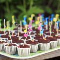 musik-muffins!
