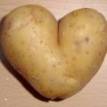 Glad nyhet för oss potatisälskare