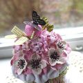 Boken - A happy Birthday to you