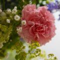 Sommarlov