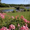 En blåsig sommardag!