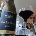 Veckans vintips: Torres Mas La Plana 2017