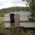 Första sommaren med höns