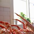 King crab kalas.