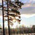 Så kom snön...