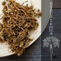 Superfoods: Gynostemma