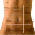 Reversal Gastric bypass