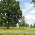 Fin sommardag vid Café Herrestad