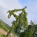 Midsommar