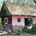 Fotoresa - Transylvanien en vecka i maj