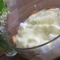 Paradižot - Snöägg