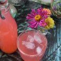 Rabarbersaft