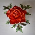 Sockerblommor
