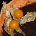Kexchokladpaj